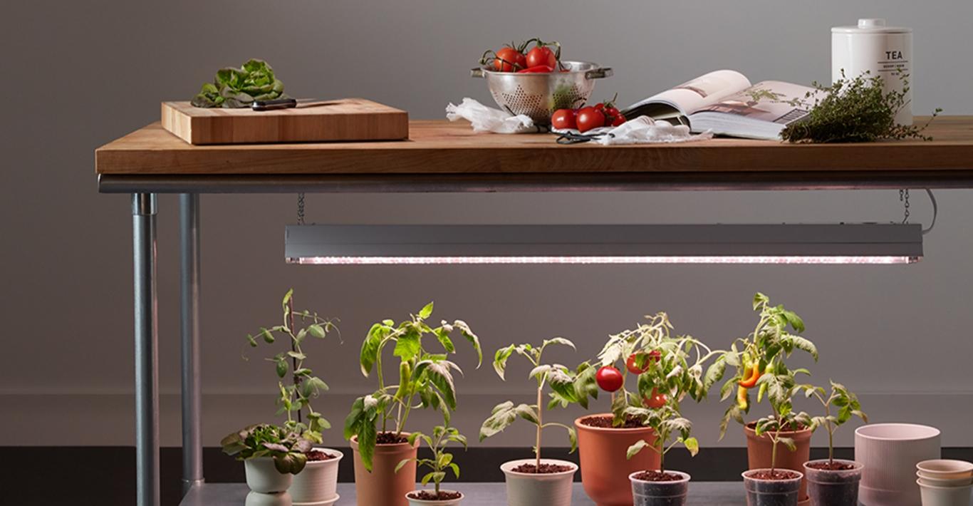 Garden to Table Easier Than Ever with New GE Grow Lights