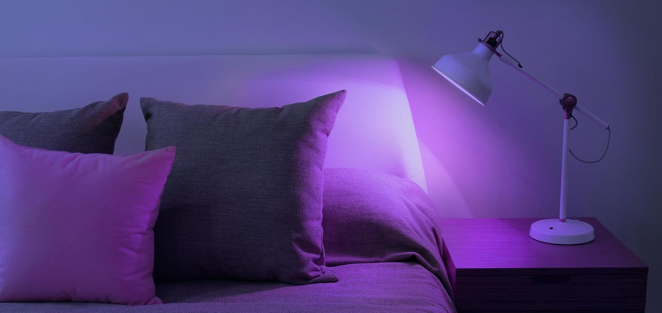 LED+ Color | Purple