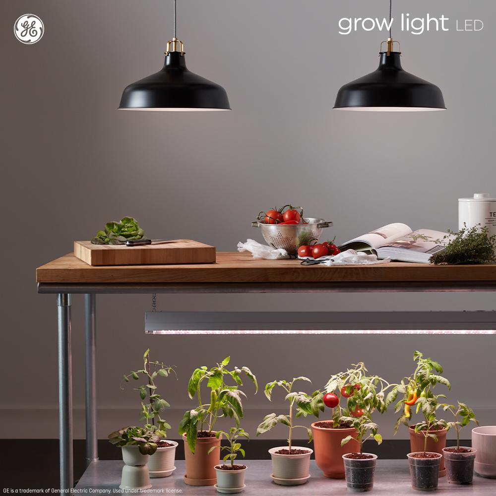 GE LED Horticultural LED Grow Light Par38 Medium Base 32-Watt (Set Of 2