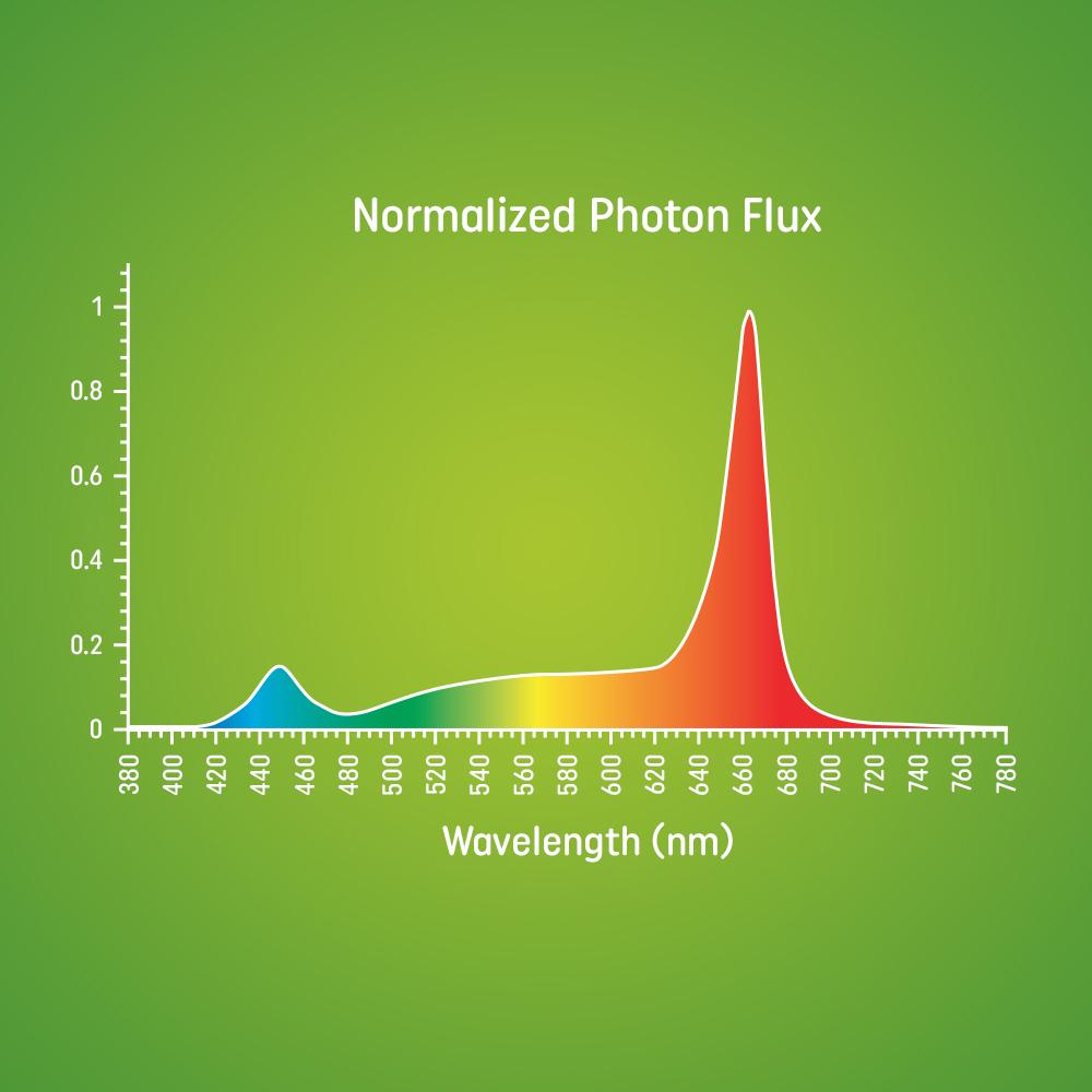 GE LED Grow Lights for Fruits & Flowers PAR38 Bulbs (1Pack)