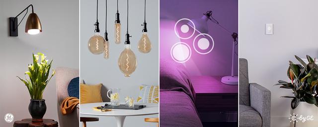 2019 Lighting Trends & Opportunities
