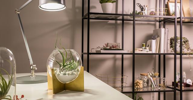 Desk with Plant and Light shining down