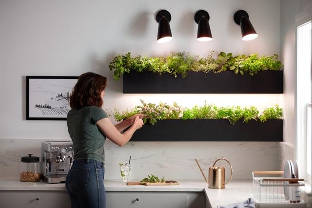 Grow light hot sale under cabinet