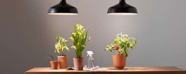 GE Grow Lights