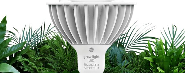 Grow LED