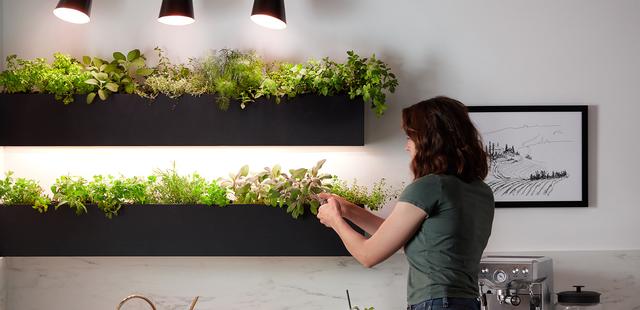 Grow Light Led, Best Indoor Led Grow Lights For Herbs