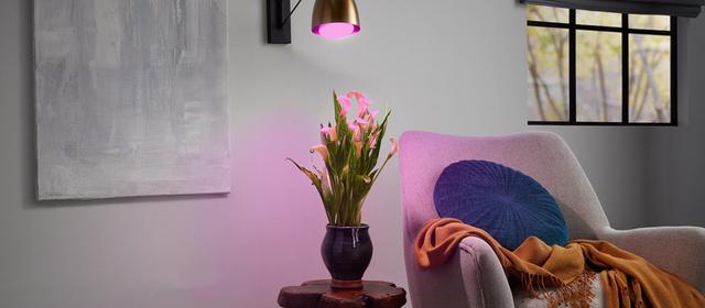 Grow Light, Light Bulb, Flood Light and More