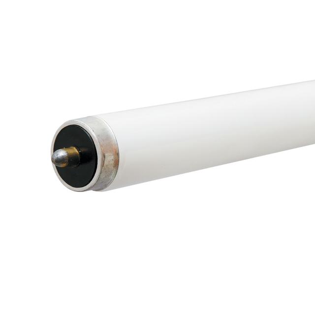GE LED Direct Wire Cool White 43 Watt 93.92 Inches T8 Fa8 Base LED Tube 2 Pack