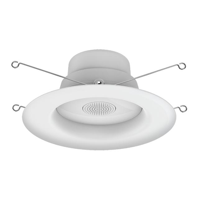 flood light bluetooth speaker