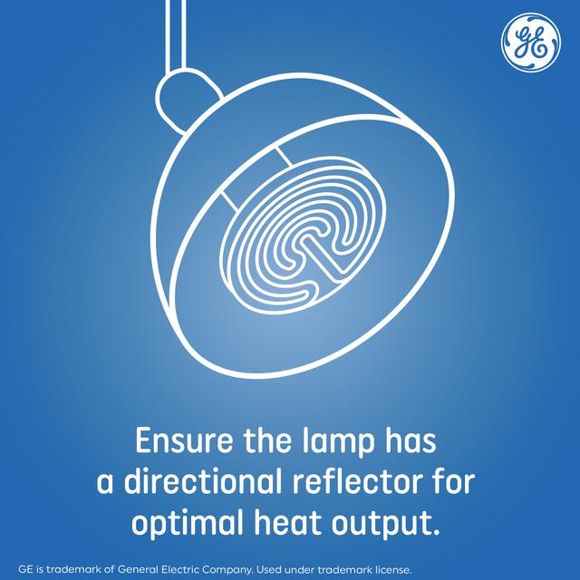 GE Ceramic Heat Lamp, 100 Watts, Animal Heat Emitter Bulb, Chick Heat Lamp, No Light (1 Pack)