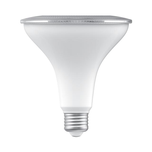 GE Classic LED 150 Watt Replacement, Daylight, PAR38 Outdoor Floodlight Bulbs (2 Pack)