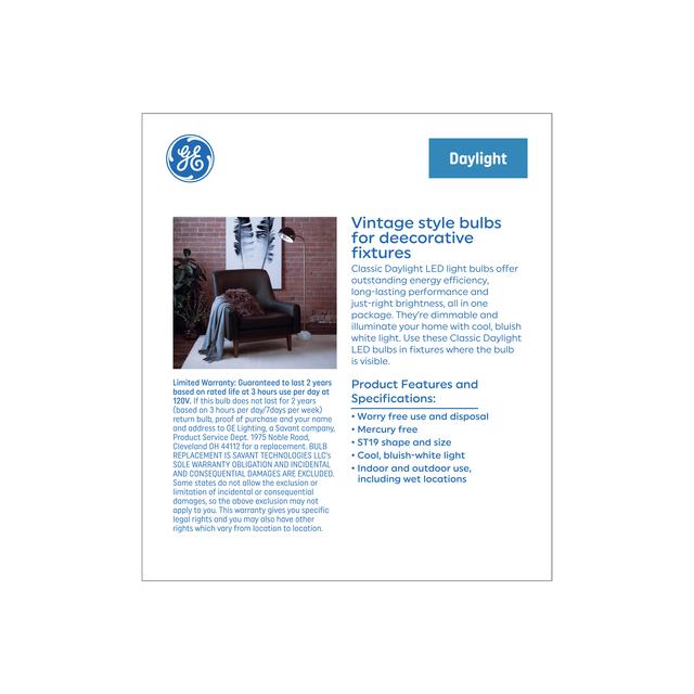 GE Classic LED 100 Watt Replacement, Daylight, ST19 Edison Bulbs (2 Pack)