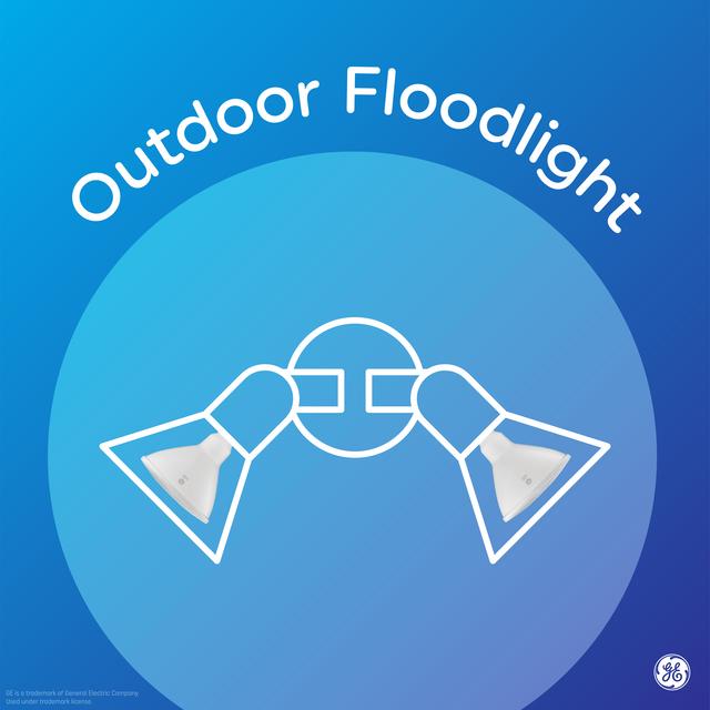 GE Classic/LED Core LED, Red Light, PAR38 Outdoor Floodlight Bulbs (1 Pack)