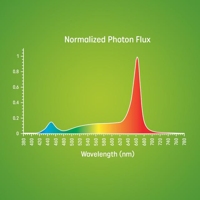 GE Grow LED Light Bulbs for Fruits and Flowering, A19 Bulbs, 9 Watts (1