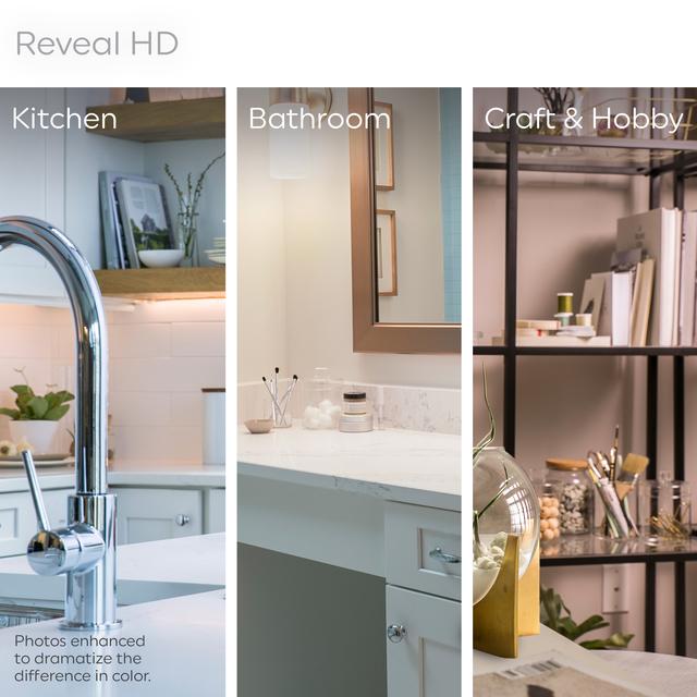 GE Reveal HD+ LED 45 Watt Replacement, Reveal, R20 Indoor Floodlight Bulbs (1 Pack)