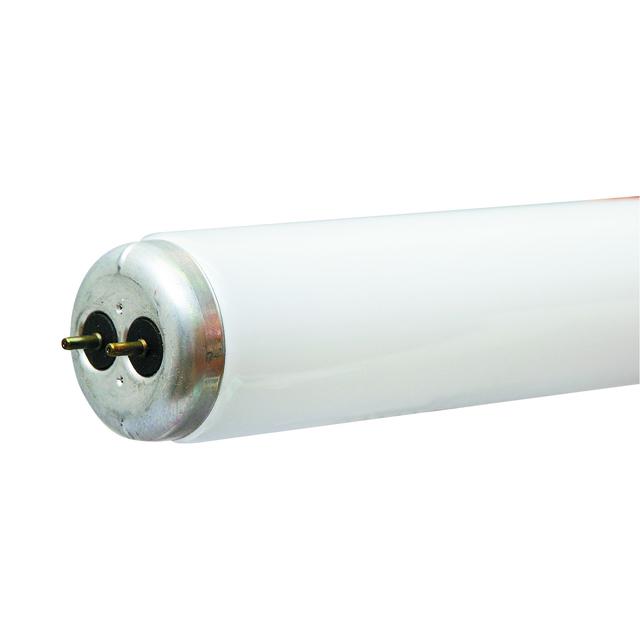 15 inch t8 fluorescent lamp clearance