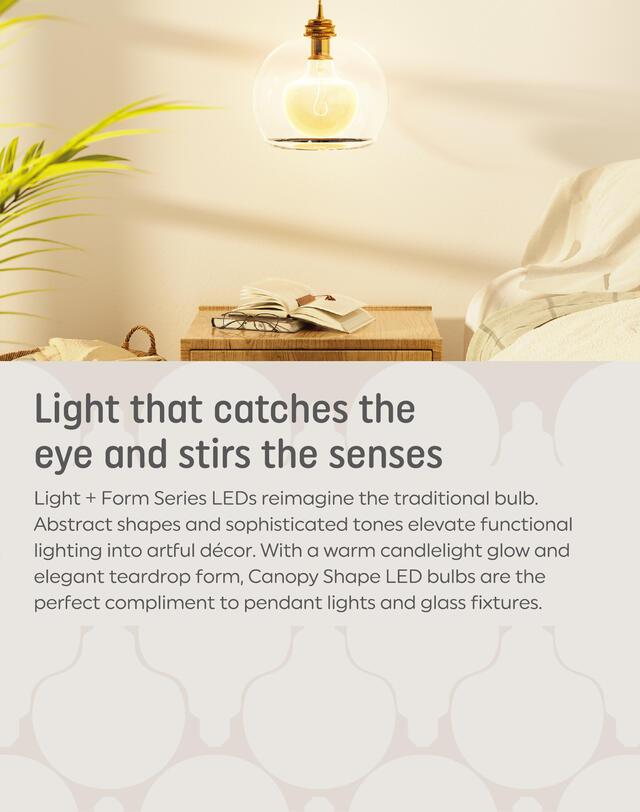 GE Light + Form Canopy Shape Warm Candlelight 25W M40 Bulbs (1 pack)