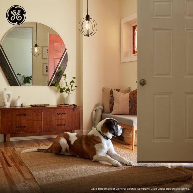 GE Industrial Round Pendant Light Fixture, Matte Black, 72inches