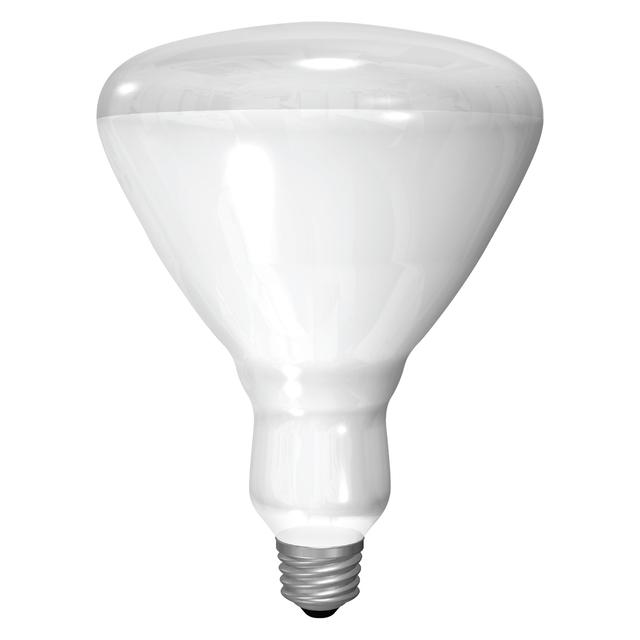 GE Incandescent Heat Lamp, 250 Watts, BR40 Bulb (1 Pack)