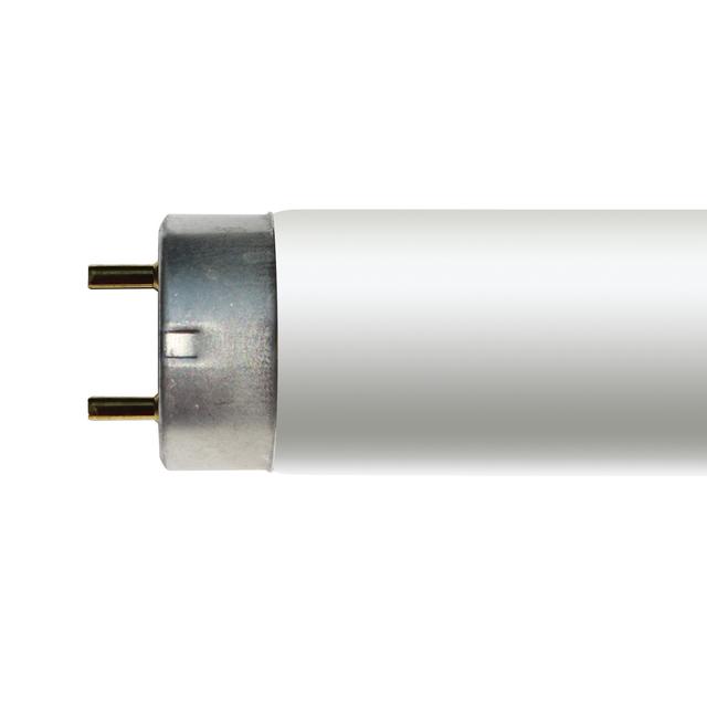 32 clearance fluorescent bulb
