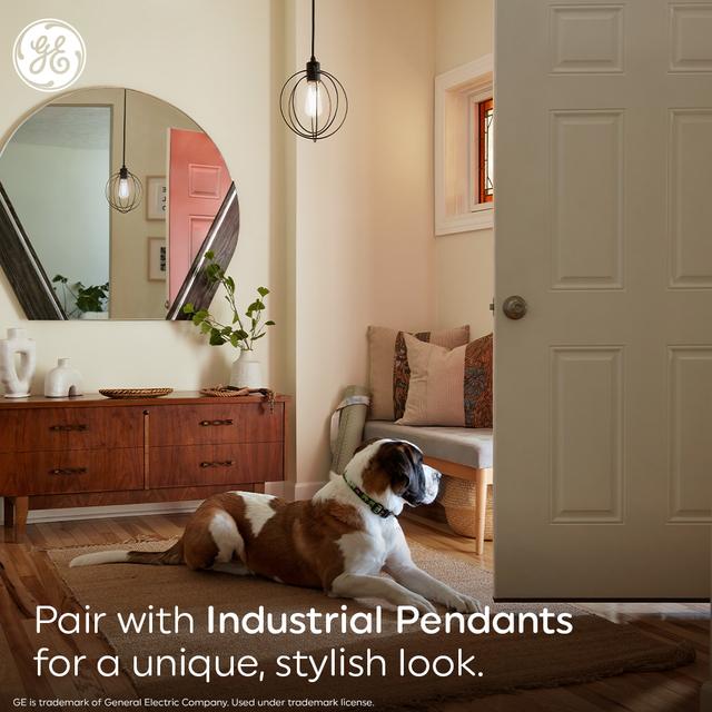 GE White Filament ST19 LED Light Bulbs, Edison Style Bulb, 60 Watt Replacement, Daylight (2 Pack)