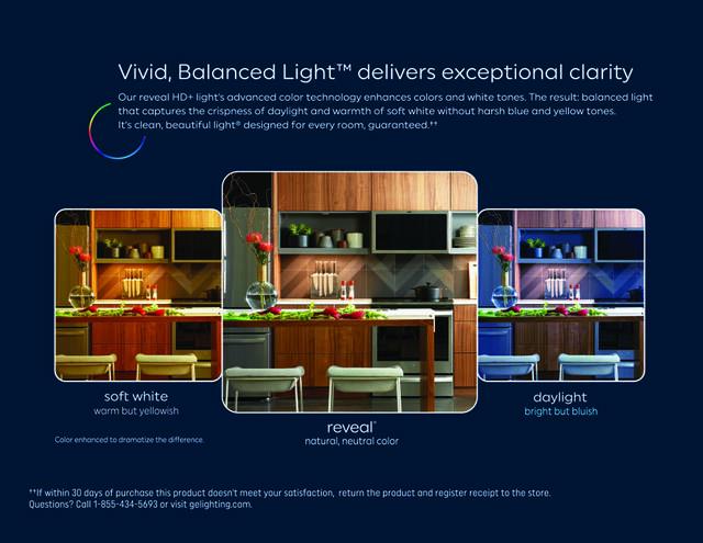 GE Reveal HD+ LED 60 Watt Replacement, Reveal, G25 Vanity - Globe Bulbs (2 Pack)