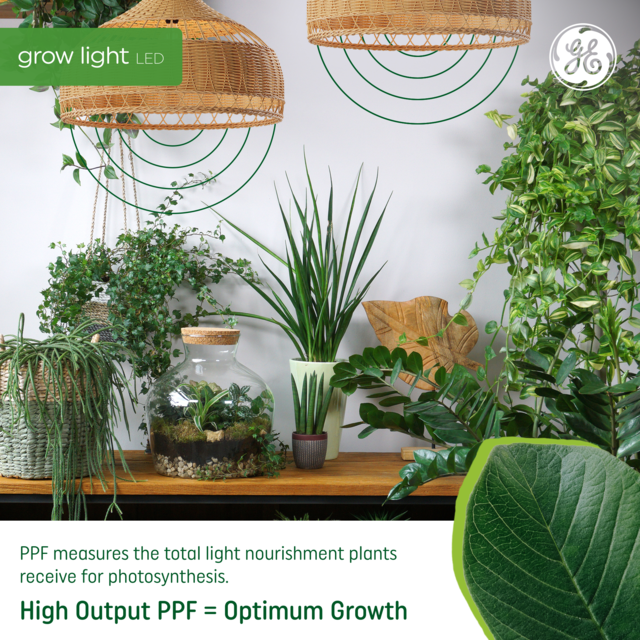 GE Grow LED Light Bulbs for Fruits and Flowering A19 Bulbs 9 Watts 1 Pack