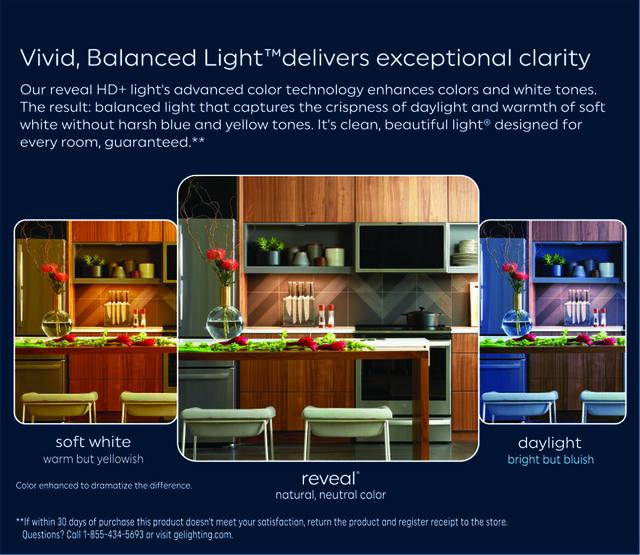 GE Reveal HD+ LED 100 Watt Replacement, Reveal, A19 General Purpose Bulbs (2 Pack)