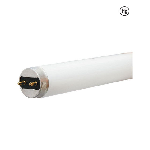 GE Cool White 17 Watt 24 Inch T8 G13 Base Fluorescent Tube 1 Pack
