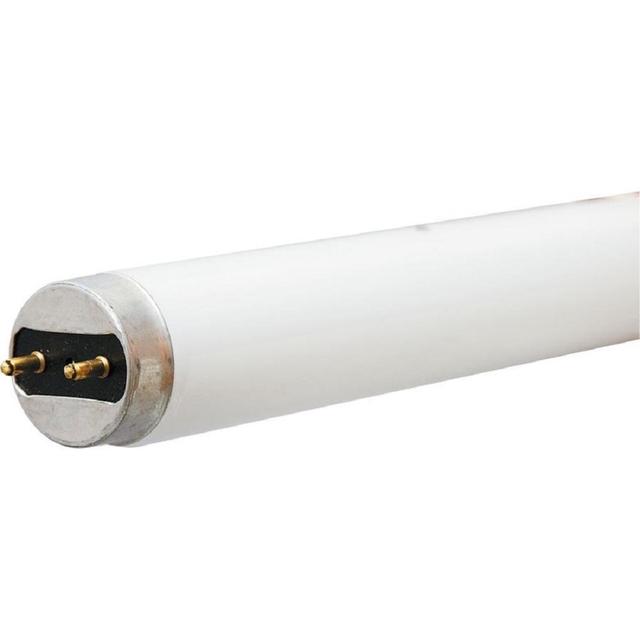 GE LED External Driver Cool White 18 Watt 47.78 Inches T8 G13 Base LED Tube 1 Pack