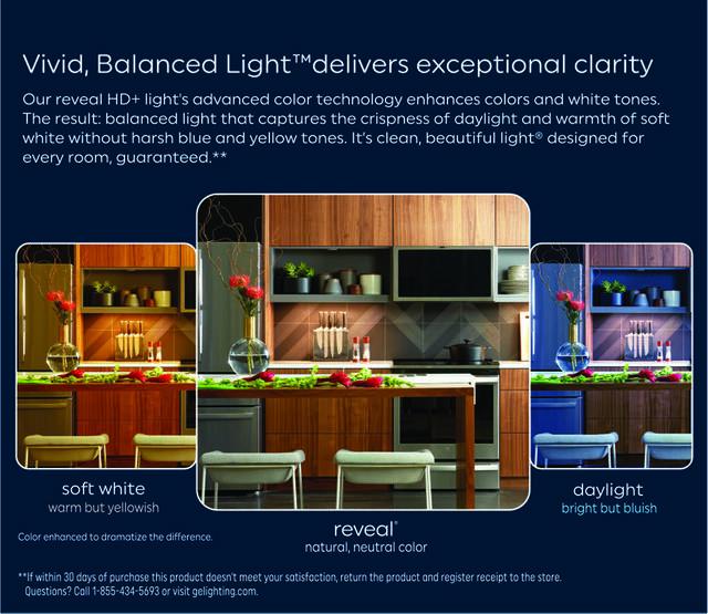 GE Reveal HD+ LED 75 Watt Replacement, Reveal, A19 General Purpose Bulbs (2 Pack)