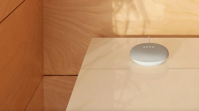 Google Home Assistant