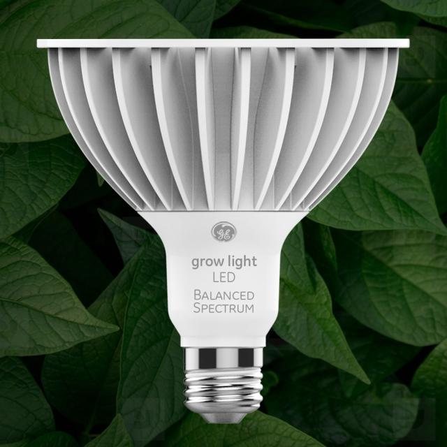 LED Grow Lights Plants | Grow