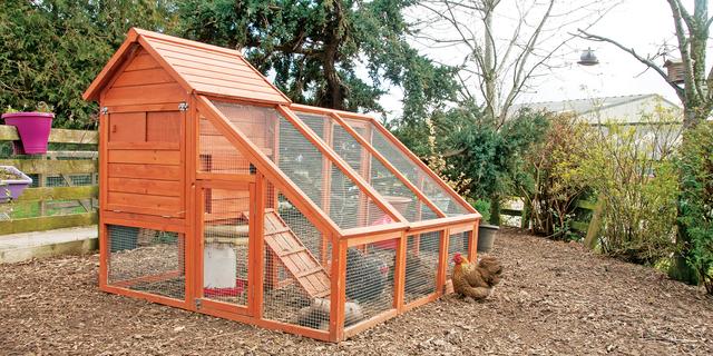 Chicken Pen