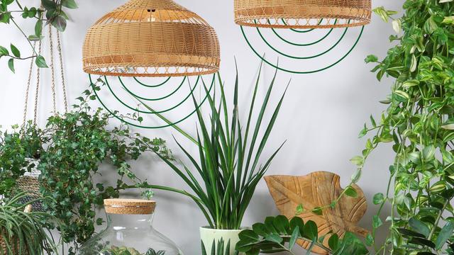 high light output lamps above plants