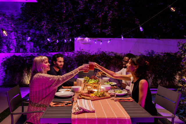 Outdoor dinner party with purple lights