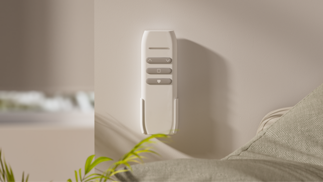 One Single Channel Remote comes with each Shade