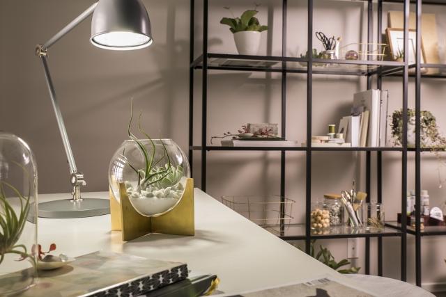 reveal light craft and hobby space