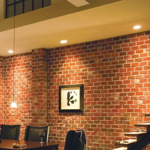 Ultra Bright LED Recessed Lighting